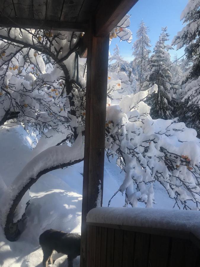 Chalet Familial Auron Esterno foto