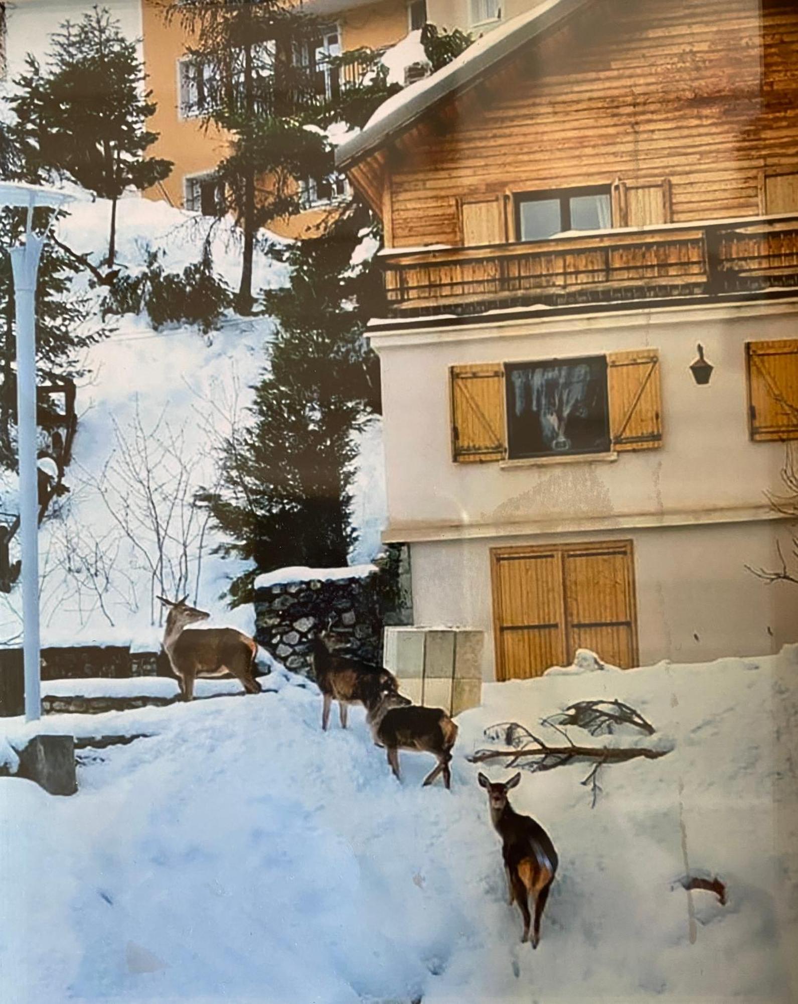 Chalet Familial Auron Esterno foto